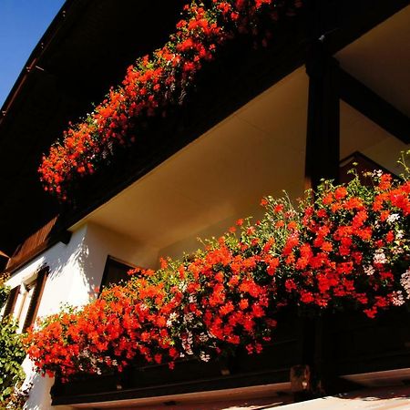 Pension Appartement Santl Anterselva di Sotto Exterior photo