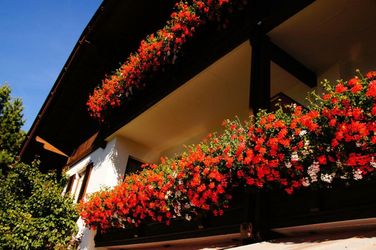 Pension Appartement Santl Anterselva di Sotto Exterior photo